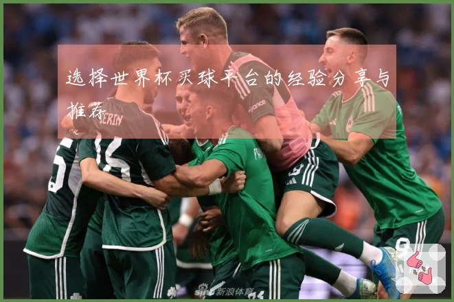 选择世界杯买球平台的经验分享与推荐