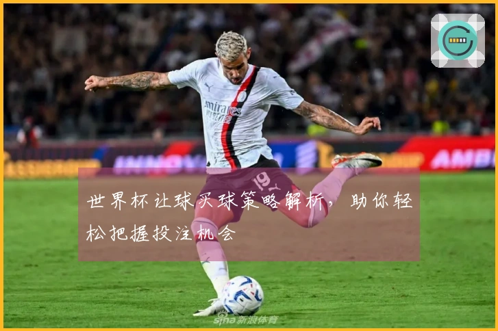 世界杯让球买球策略解析，助你轻松把握投注机会