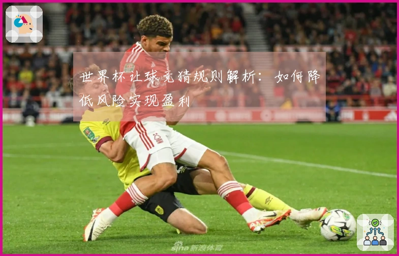 世界杯让球竞猜规则解析：如何降低风险实现盈利