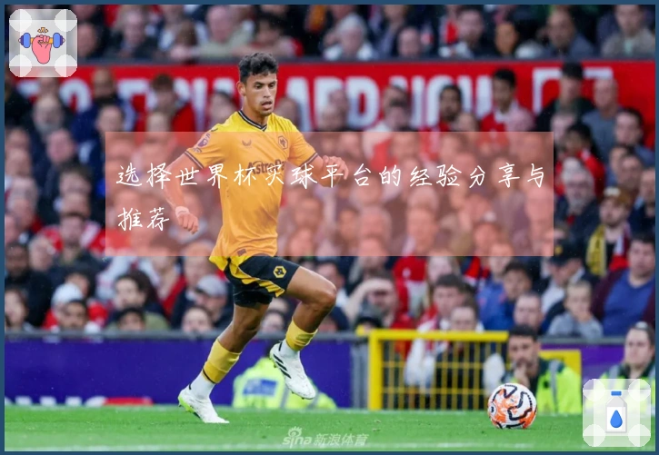 选择世界杯买球平台的经验分享与推荐