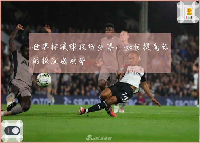 世界杯滚球技巧分享，如何提高你的投注成功率