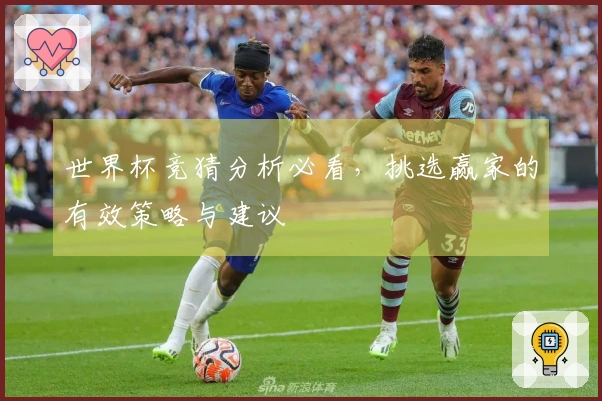 世界杯竞猜分析必看，挑选赢家的有效策略与建议