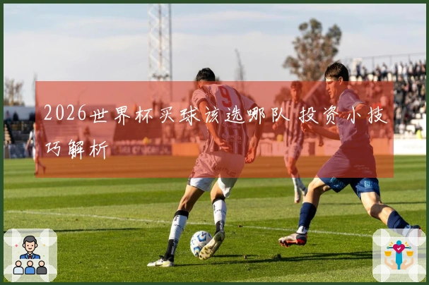 2026世界杯买球该选哪队 投资小技巧解析