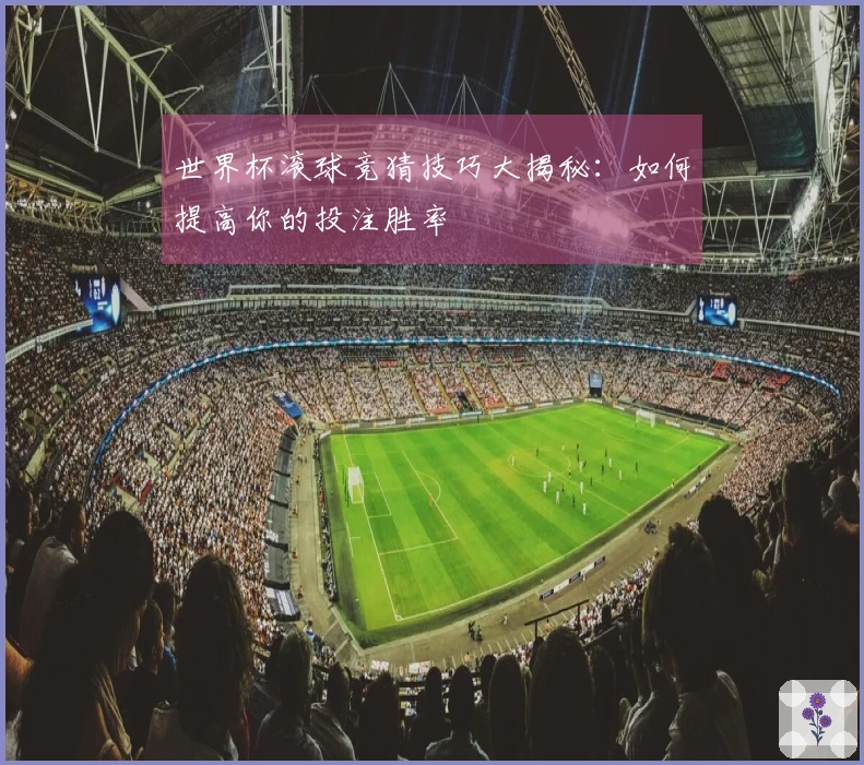 世界杯滚球竞猜技巧大揭秘：如何提高你的投注胜率