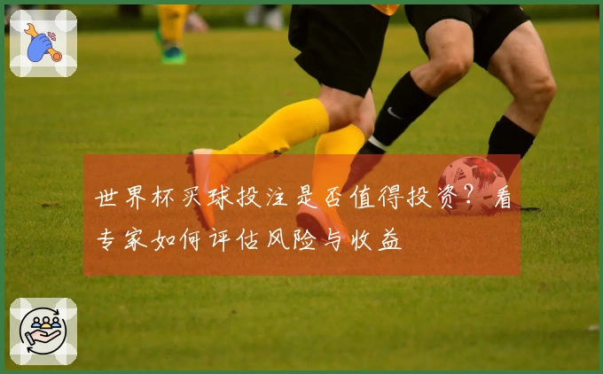 世界杯买球投注是否值得投资？看专家如何评估风险与收益