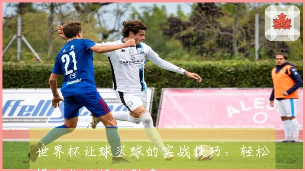 世界杯让球买球的实战技巧，轻松提升你的投注胜率