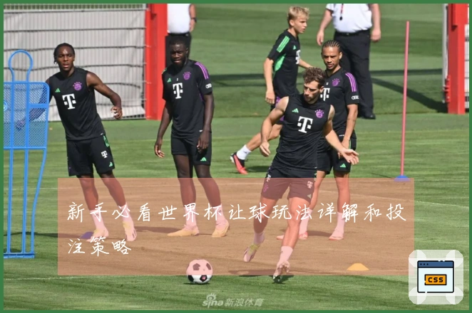 新手必看世界杯让球玩法详解和投注策略