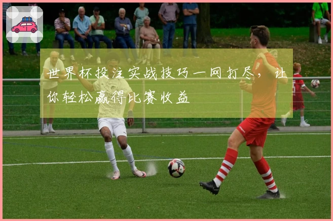 世界杯投注实战技巧一网打尽，让你轻松赢得比赛收益