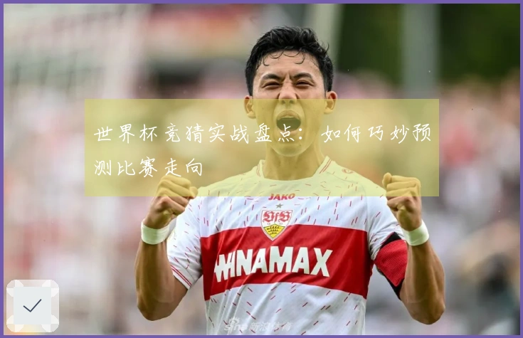 世界杯竞猜实战盘点：如何巧妙预测比赛走向