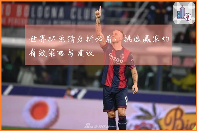 世界杯竞猜分析必看，挑选赢家的有效策略与建议