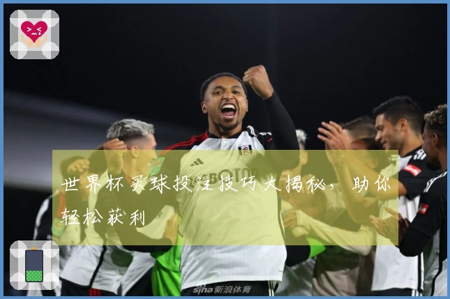 世界杯买球投注技巧大揭秘，助你轻松获利