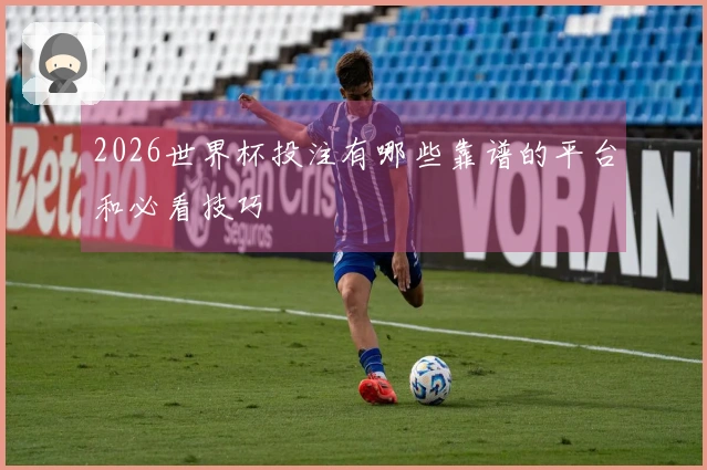 2026世界杯投注有哪些靠谱的平台和必看技巧