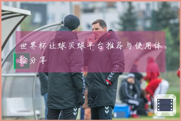 世界杯让球买球平台推荐与使用体验分享
