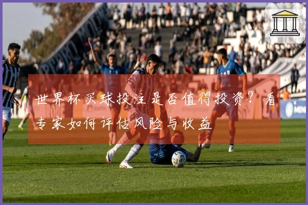 世界杯买球投注是否值得投资？看专家如何评估风险与收益